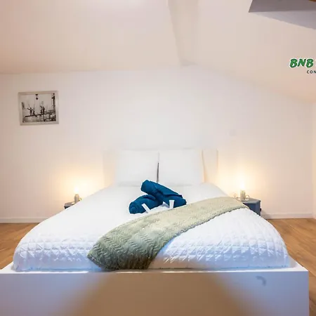 Toulouse - Le Gaston Douillet - Clim - Wifi - Plein Centre *